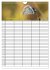 Schmetterlinge in Bayern (Wandkalender... - Bild 5