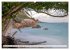 Seychelles - Des îles de rêve dans... - Bild 5