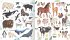 Stickerliebe - Tiere   (Restauflage) - Bild 2