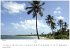 Florida Kalender 2026 - Wandkalender  ... - Bild 13