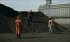 Der Brutalist - Bild 7