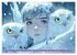 Winterliche Fantasie Animé... - Bild 4