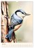 Alle Vögel sind schon da (Wandkalender... - Bild 13