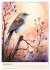 Alle Vögel sind schon da (Wandkalender... - Bild 5