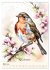 Alle Vögel sind schon da (Wandkalender... - Bild 9