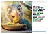 Vogelsprüche - Humor (Wandkalender... - Bild 3