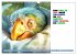 Vogelsprüche - Humor (Wandkalender... - Bild 4