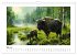 Wilde Rinder (Wandkalender 2026 DIN A4... - Bild 11