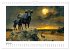 Wilde Rinder (Wandkalender 2026 DIN A4... - Bild 12