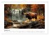 Wilde Rinder (Wandkalender 2026 DIN A4... - Bild 3