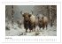 Wilde Rinder (Wandkalender 2026 DIN A4... - Bild 7