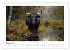 Wilde Rinder (Wandkalender 2026 DIN A4... - Bild 8