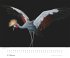 Tim Flach: Vögel 2026 - Posterkalender... - Bild 3