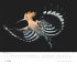 Tim Flach: Vögel 2026 - Posterkalender... - Bild 5