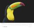 Tim Flach: Vögel 2026 - Posterkalender... - Bild 6