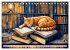 Katzenzauber - Katzenkalender mit... - Bild 5