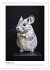 Chinchilla Parade (Wall Calendar 2026... - Bild 5