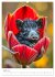 Forest babies asleep in flowers (High... - Bild 9