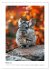 Chinchilla Parade (Wall Calendar 2026... - Bild 9