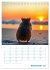 Holiday Hamster - Urlaubsfeeling pur... - Bild 15
