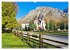 Trascau-Gebirge - Unterwegs im... - Bild 14