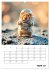 Space Hamster - Mit KI Hamster... - Bild 9