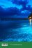 The Bioluminescent Blackout - Englische... - Bild 3