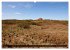 Insel Spiekeroog (Wandkalender 2026 DIN... - Bild 11