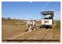 Insel Spiekeroog (Wandkalender 2026 DIN... - Bild 3