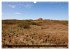 Insel Spiekeroog (Wandkalender 2026 DIN... - Bild 11