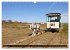 Insel Spiekeroog (Wandkalender 2026 DIN... - Bild 3
