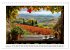 Zypressen und Weinberge (Wandkalender... - Bild 3