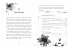 Smilli Green und das zauberhafte... - Bild 5
