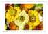 Fleurs - un mélange coloré... - Bild 15
