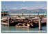 Kalifornien - USA - San Francisco... - Bild 14