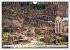 Italien - Rom (Wandkalender 2026 DIN A4... - Bild 9