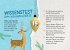 24 Adventsrätsel I Die perfekte... - Bild 5