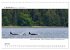 Vancouver Island Panoramabilder... - Bild 13