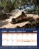 2026 Desktop Rally Calendar - Bild 8