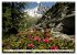 Traumhaftes Frankreich (Wandkalender... - Bild 7