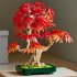 LEGO Botanicals 10348 Japanischer Roter... - Bild 5