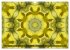Natur im Kaleidoskop (Wandkalender 2026... - Bild 10