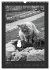 Katz & Maus (Wandkalender 2026 DIN A3... - Bild 12