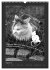 Katz & Maus (Wandkalender 2026 DIN A3... - Bild 14