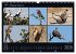 Botswana Blickwinkel 2026 (Wandkalender... - Bild 14