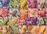 COBBLE HILL PUZZLES 3845108 - Eis am... - Bild 3