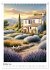 Provence - Landschaften, Dörfer,... - Bild 3
