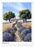 Provence - Landschaften, Dörfer,... - Bild 5