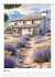 Provence - Landschaften, Dörfer,... - Bild 10