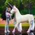 Unicorn Academy Fashion Unicorn -... - Bild 8